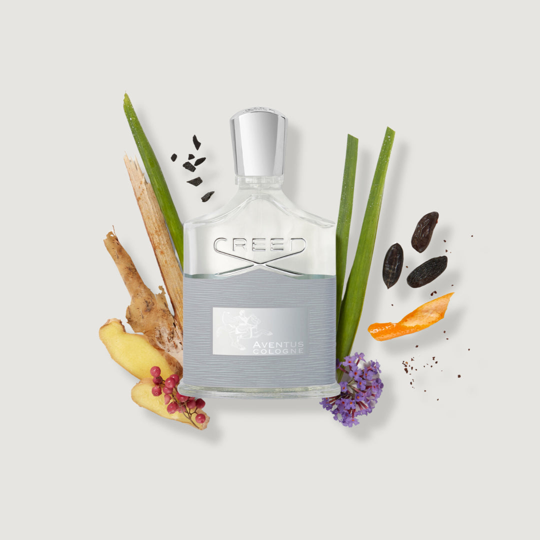 Aventus Cologne - Image 2